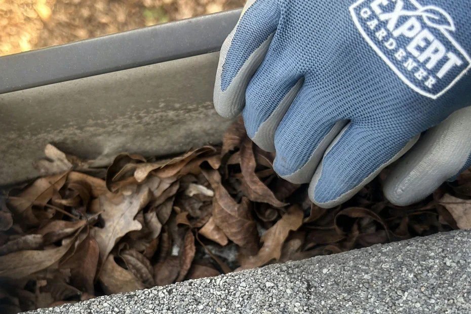 Gutter Cleaning Alabaster