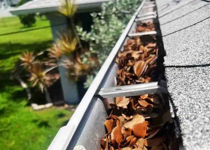 Gutter Cleaning Alabaster home page